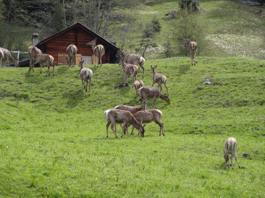 Chalet Edelweiss Hérémence Rum bild